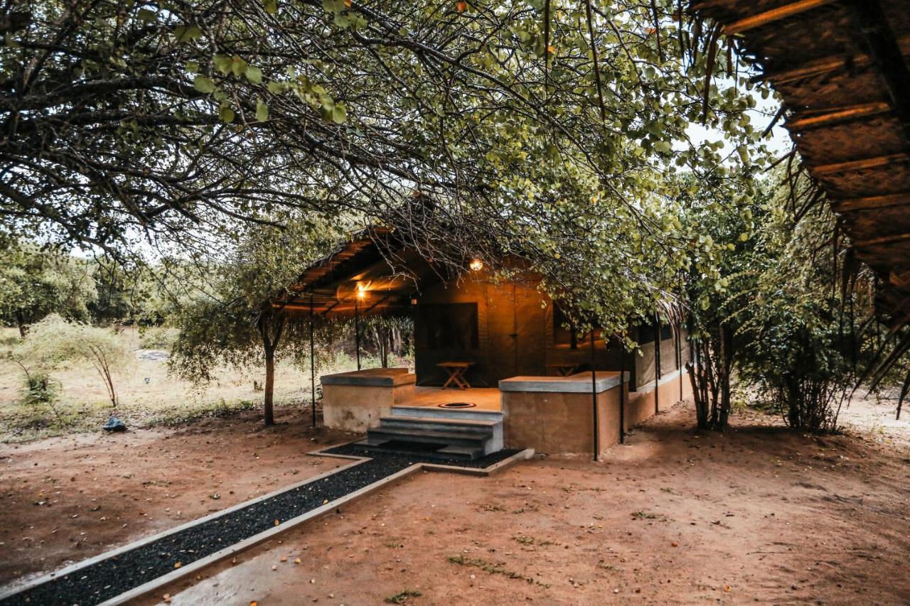 Yala Wild Hut - Yala Otel Tissamaharama Dış mekan fotoğraf