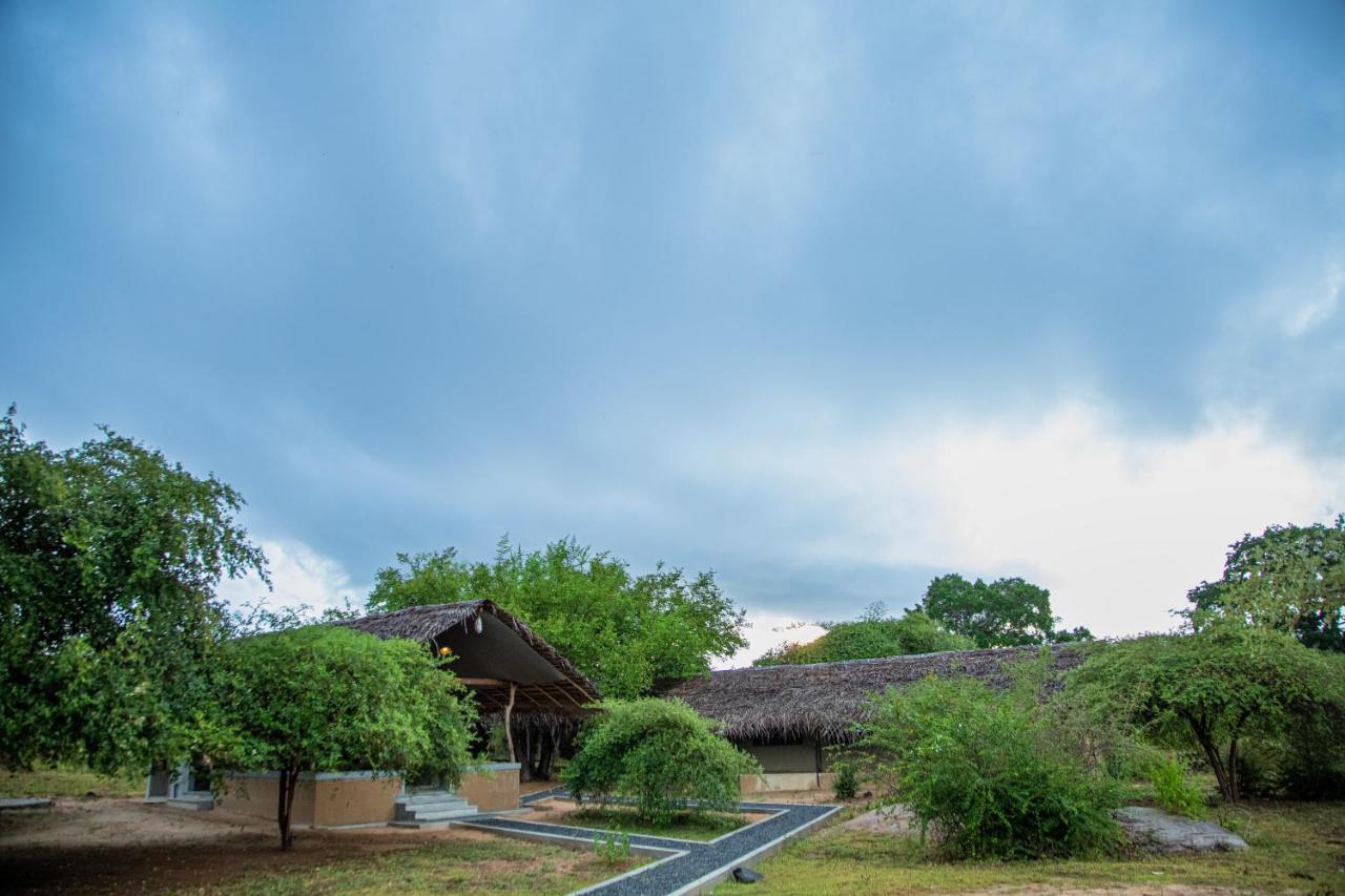 Yala Wild Hut - Yala Otel Tissamaharama Dış mekan fotoğraf