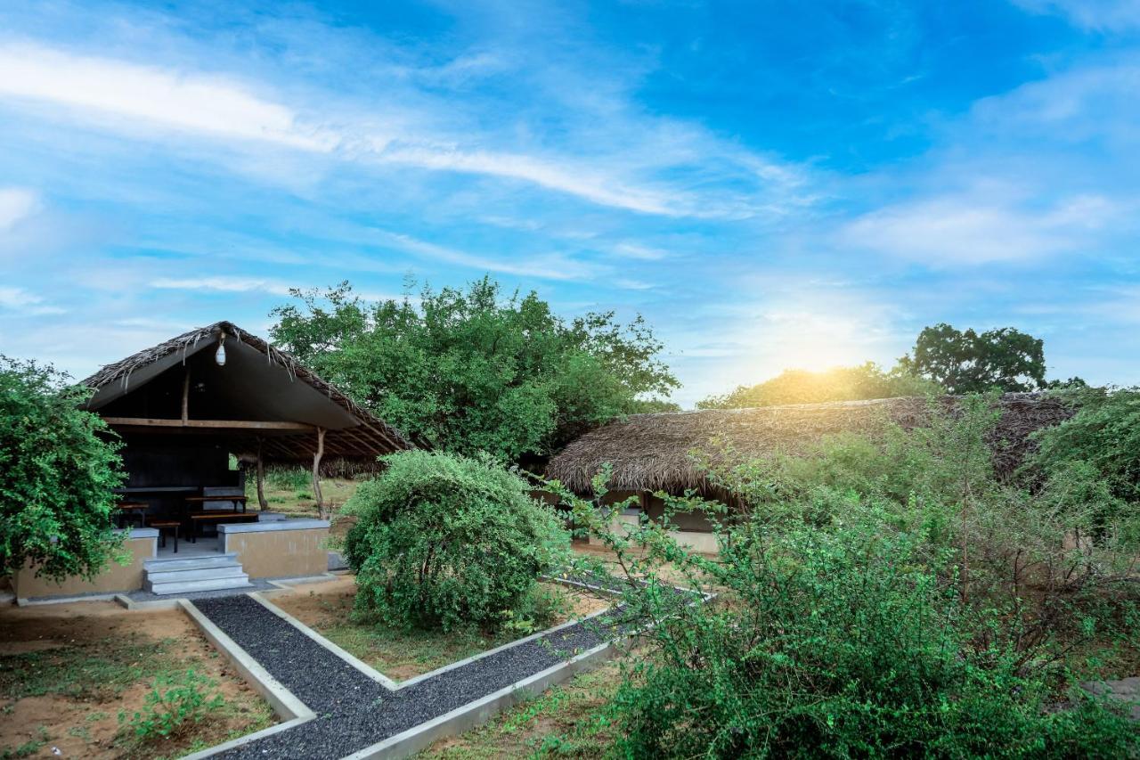 Yala Wild Hut - Yala Otel Tissamaharama Dış mekan fotoğraf