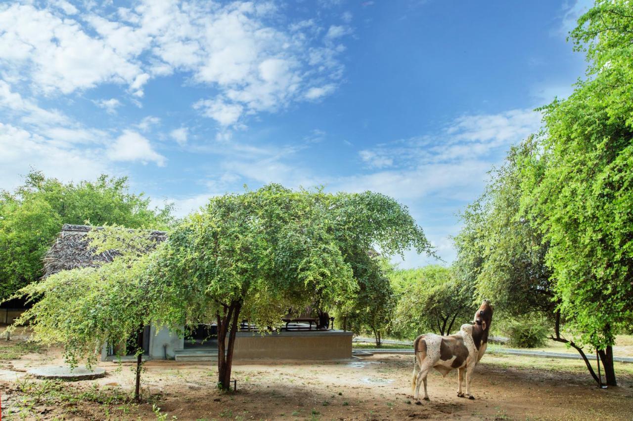 Yala Wild Hut - Yala Otel Tissamaharama Dış mekan fotoğraf