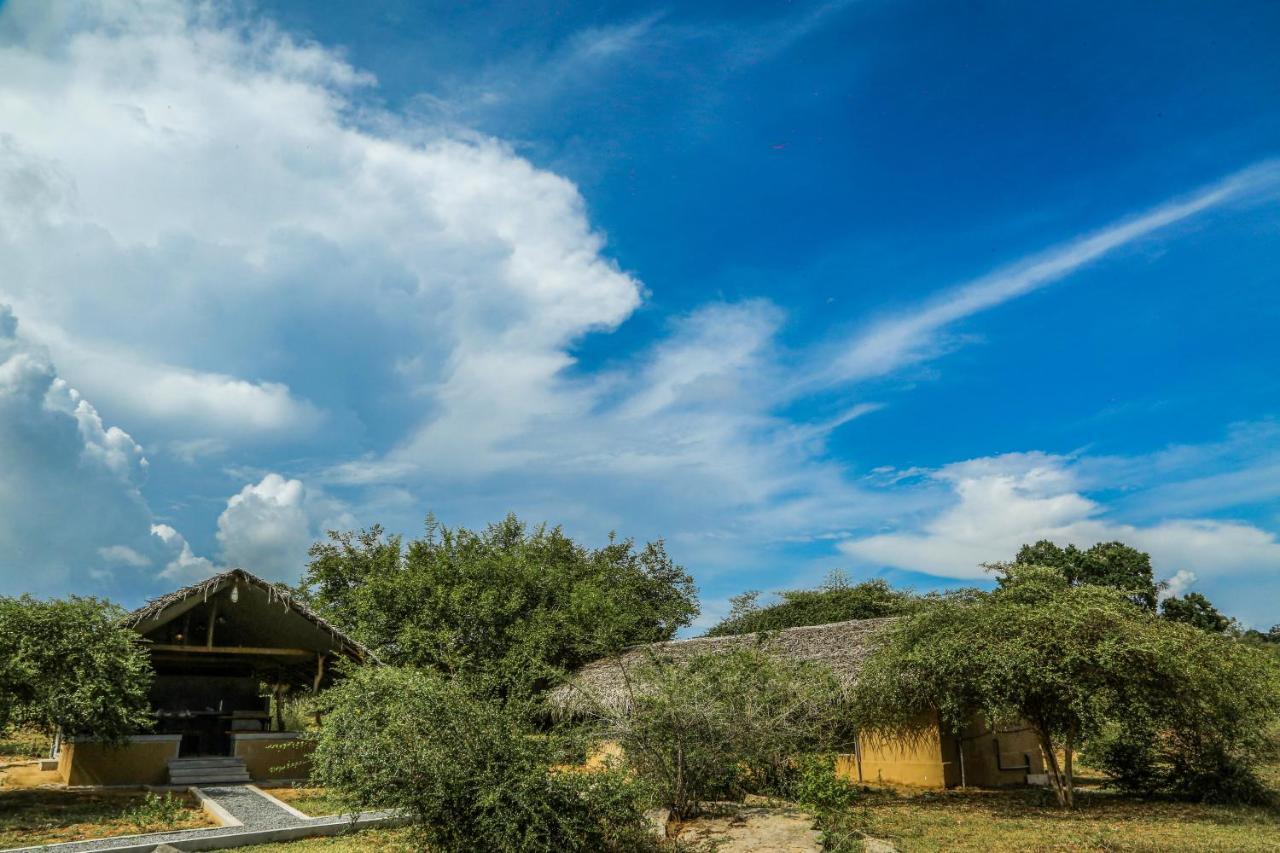 Yala Wild Hut - Yala Otel Tissamaharama Dış mekan fotoğraf